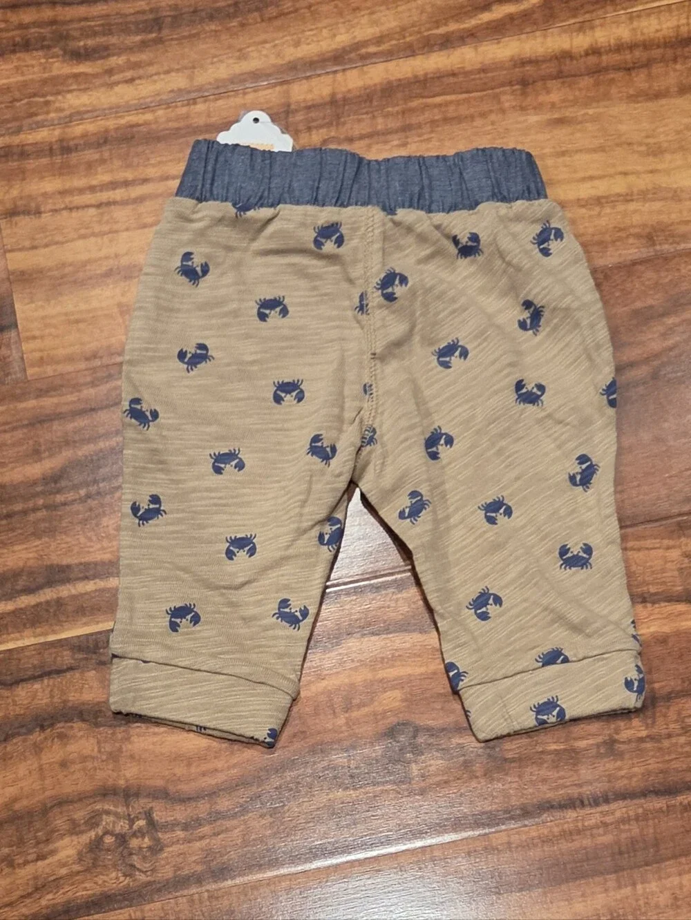 Gymboree nwt months